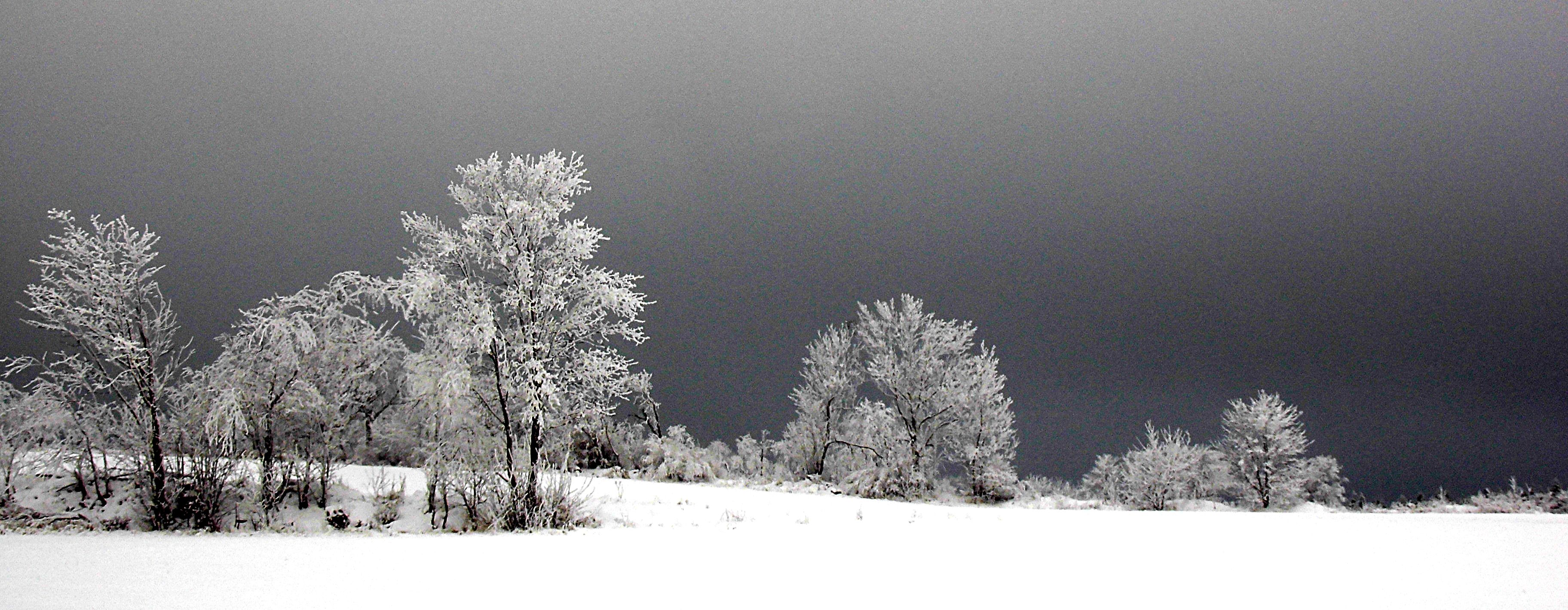 slideshow-winter-2021-
