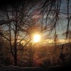 2017_Waldidylle_Winterimpressionen_05